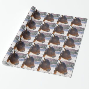 Papel De Regalo Primer plano de caballo marrón, pequeño pony marró