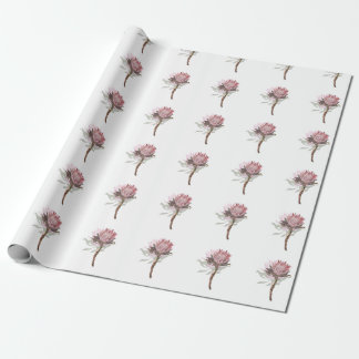 Papel De Regalo protea flowers