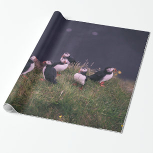 Papel De Regalo Puffins atlánticos
