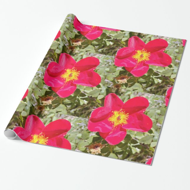 Papel De Regalo Punzón floral (Desenrollado)