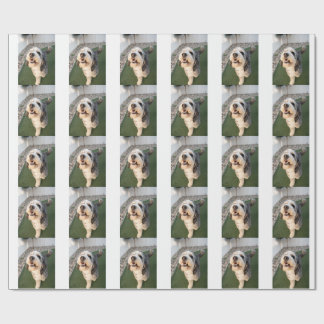 Papel De Regalo Pupper Socks