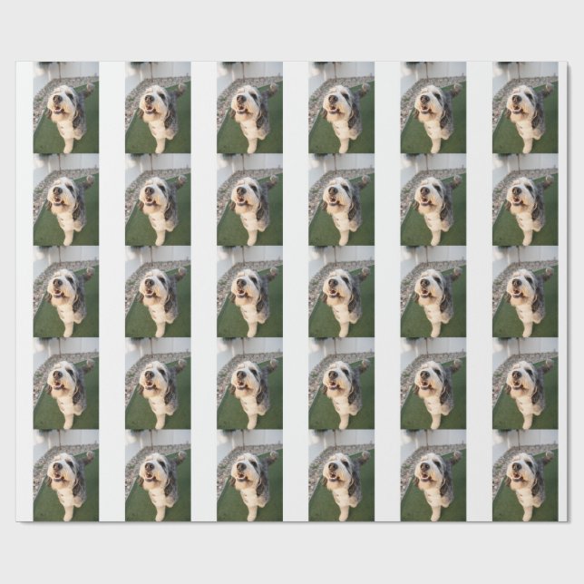 Papel De Regalo Pupper Socks (Superficie plana)