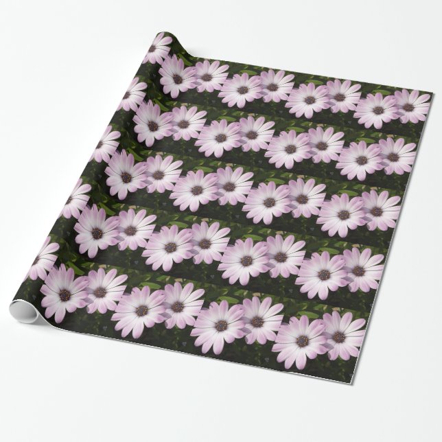 Papel De Regalo Purple Daisies (Desenrollado)