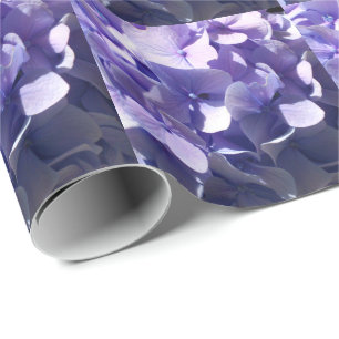 Papel De Regalo Púrpura Hydrangea