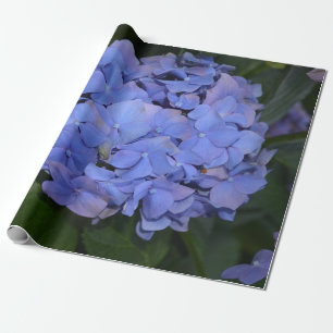 Papel De Regalo Púrpura Rústica Hidrangea macrophylla