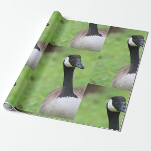 Papel De Regalo Qué