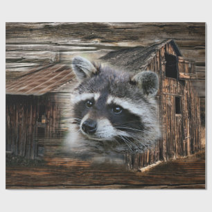 Papel De Regalo Raccoon En El Antiguo Barn