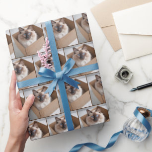 Papel De Regalo Ragdoll Cat En Caja De Cartón