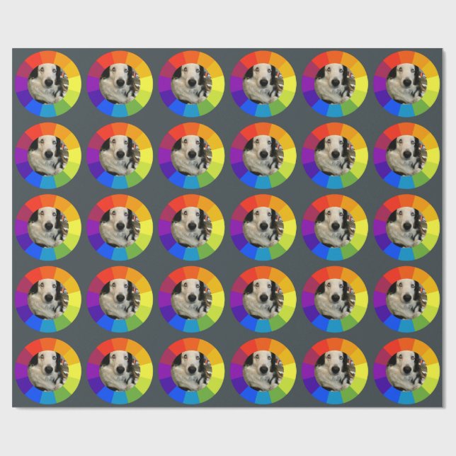 Papel De Regalo Rainbow Color Wheel (Superficie plana)