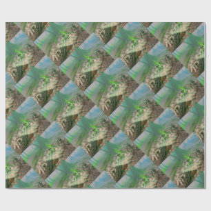 Papel De Regalo Rana