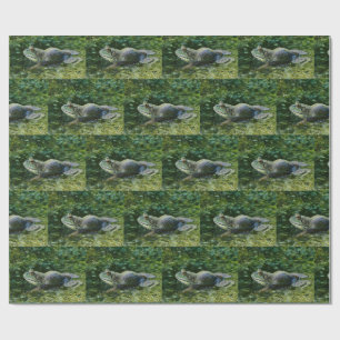 Papel De Regalo Rana de toro esperando el arte de su dama