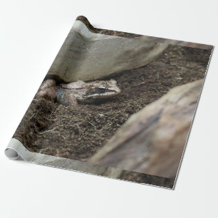 Papel De Regalo Rana sucia