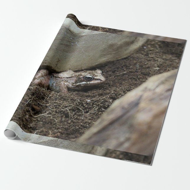 Papel De Regalo Rana sucia (Desenrollado)