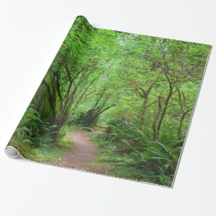 Papel De Regalo Rastro en bosque de la secoya