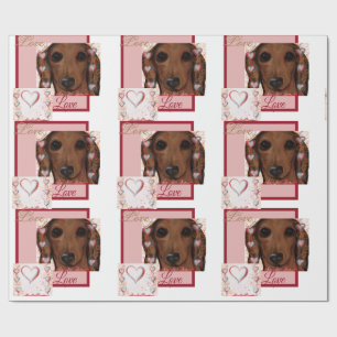 Papel De Regalo Red Dachshund