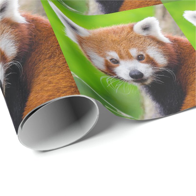 Papel De Regalo Red Panda (Esquina del rollo)