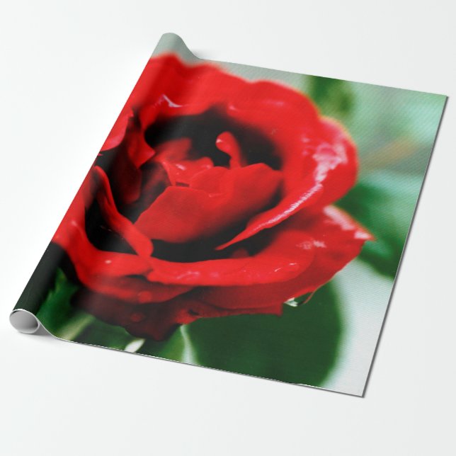 Papel De Regalo Red Rose Love (Desenrollado)