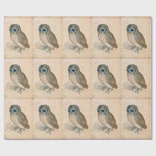 PAPEL DE REGALO RENACIMIENTO DE DIBUJOS ANIMALES /EL OWL