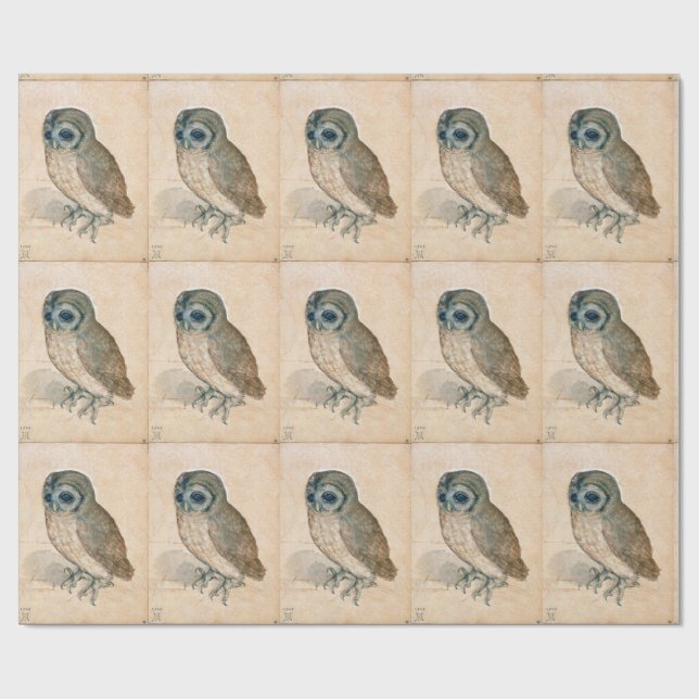 PAPEL DE REGALO RENACIMIENTO DE DIBUJOS ANIMALES /EL OWL (Superficie plana)
