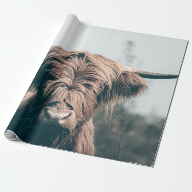 Papel De Regalo retrato de vaca de las tierras altas (Desenrollado)