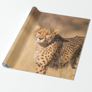 PAPEL DE REGALO RETRATO LEOPARD
