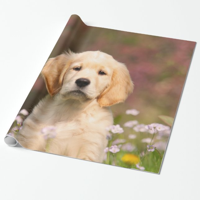 Papel De Regalo Retrato lindo del perrito del perro del golden (Desenrollado)