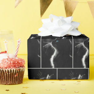 Papel De Regalo Retrato Negro De Gato Con Ojo Azul