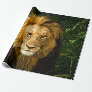 PAPEL DE REGALO REY DE LEÓN EN LA JUNGLE