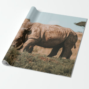 PAPEL DE REGALO RHINO EN ÁFRICA GRAZANDO