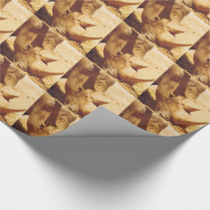 Papel De Regalo Rhinoceros