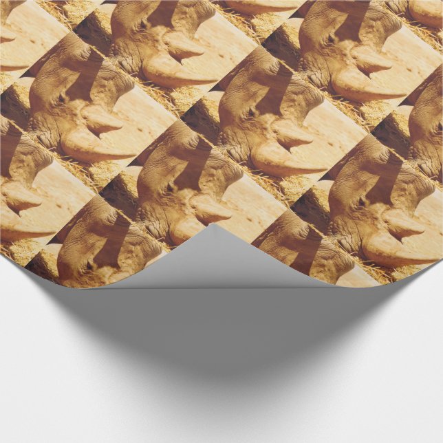 Papel De Regalo Rhinoceros (Esquina)