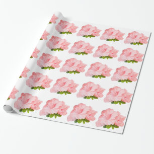 Papel De Regalo Rhododendron rosa sobre blanco