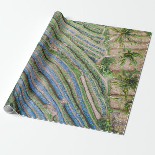 Papel De Regalo Río entre cocoteros