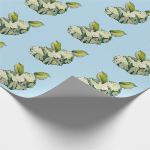 Papel De Regalo Rock Wren birds Nueva Zelanda