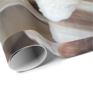 Papel De Regalo Romántico Tropical Exótico de las conchas de mar P