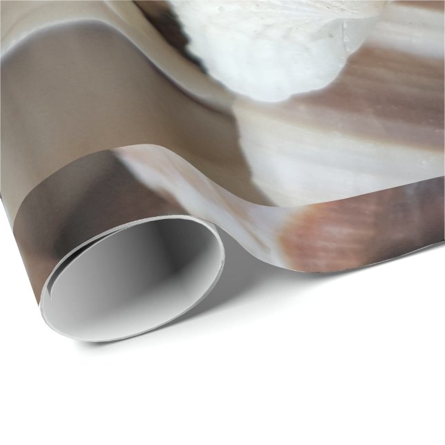 Papel De Regalo Romántico Tropical Exótico de las conchas de mar P (Esquina del rollo)