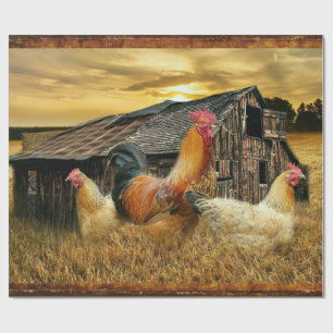 Papel De Regalo Rooster Hens Rustic Barn Coop