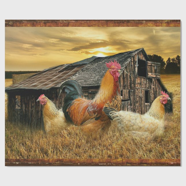 Papel De Regalo Rooster Hens Rustic Barn Coop (Superficie plana)