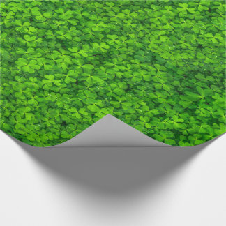 Papel De Regalo Ropa verde de hojas con gotitas de agua