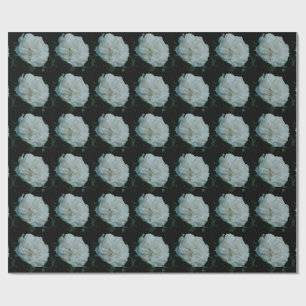 Papel De Regalo Rosa blanca