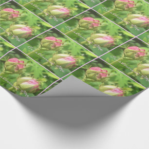 Papel De Regalo Rosa de barras