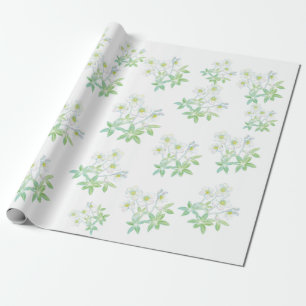 Papel De Regalo rosa de navidades, Helleborus niger