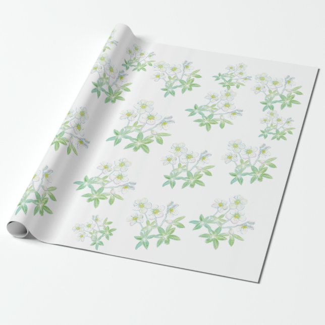 Papel De Regalo rosa de navidades, Helleborus niger (Desenrollado)