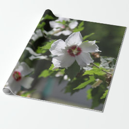 Papel De Regalo Rosa de Sharon