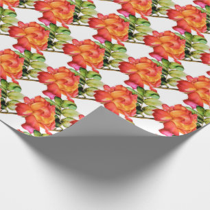 Papel De Regalo Rosa de té rayado naranja rosa acuarela con estamp