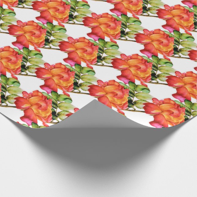 Papel De Regalo Rosa de té rayado naranja rosa acuarela con estamp (Esquina)
