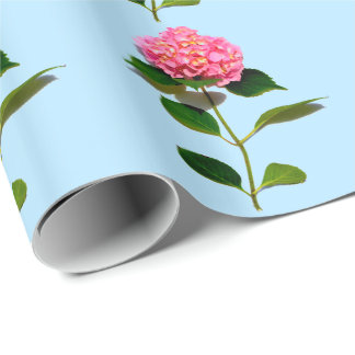 Papel De Regalo Rosa Hydrangea flor rosa rosa floral rosa