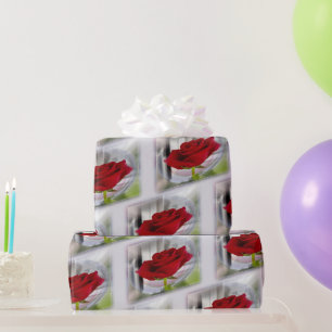 Papel De Regalo Rosa roja 2