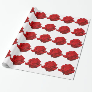 Papel De Regalo Rosa roja sobre blanco