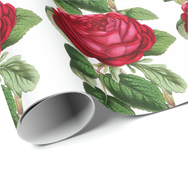 Papel De Regalo Rosa rojo (Esquina del rollo)